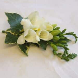 Dscf4405 Freesia Corsage.jpg